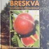 Medin Breskva