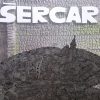 Šercar-Retrospektiva