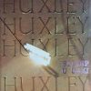 Huxley: Slijep u Gazi