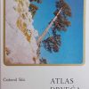 Šilic-Atlas drveća i grmlja
