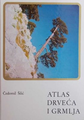 Šilic-Atlas drveća i grmlja