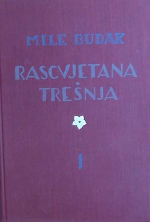 Budak-Rascvjetana trešnja