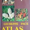 Pace-Atlas gljiva