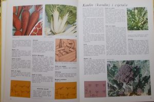 Seabrook: Moj povrtnjak (2)