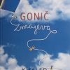 Hosseini-Gonič zmajeva