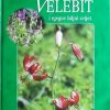 Forenbacher-Velebit i njegov biljni svijet