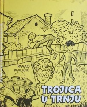 Pavličić: Trojica u Trnju