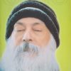 Osho: Hodajući u Zenu, sjedeći u Zenu