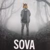 Bjork-Sova