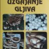 Lisjak: Uzgajanje gljiva