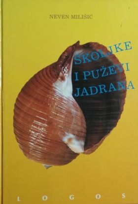 Milišić-Školjke i puževi Jadrana