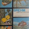 Brehm: Kako žive životinje
