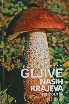Božac: Gljive naših krajeva