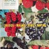 Miloš-Jagoda malina ribiz kupina