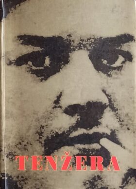Tenžera: Likovne teme
