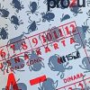 Ugrešić: Poza za prozu