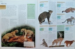 Životinje - velika ilustrirana enciklopedija (1)