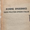 Potočnjak: Kobne smjernice naše politike spram Italije