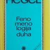 Hegel: Fenomenologija duha