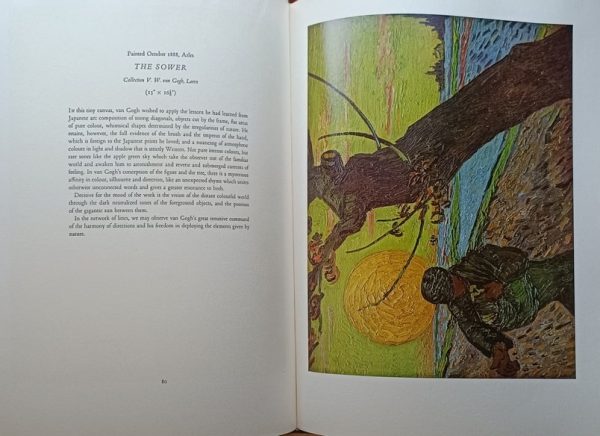 Schapiro-Van Gogh