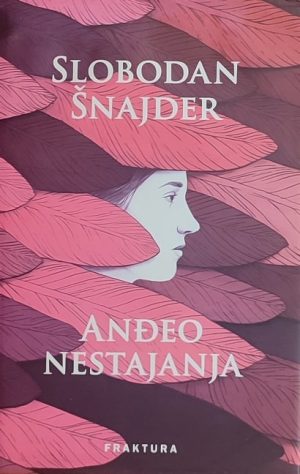 Šnajder: Anđeo nestajanja