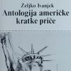 Ivanjek: Antologija američke kratke priče