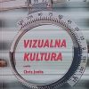 Jenks: Vizualna kultura
