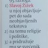 Žižek-Bog na mukama