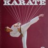 Nicović: Karate 2