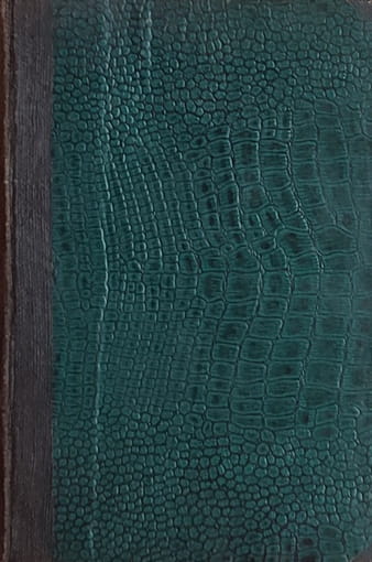 Vojnović-Dubrovačka trilogija