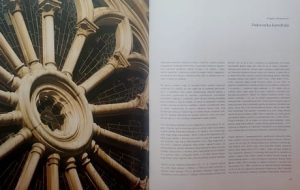 Slavonija, Baranja i Srijem: drugi svezak (1)