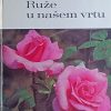 Scheerer-Ruže u našem vrtu
