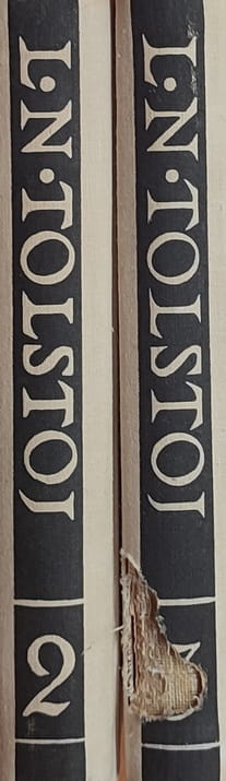 Tolstoj: Ana Karenjina