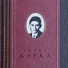 Kafka-Izgubljenik