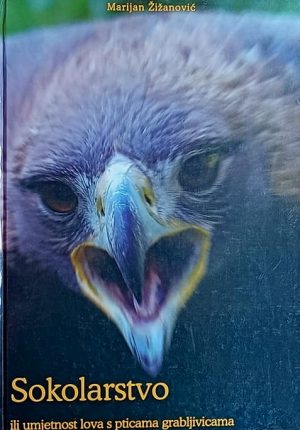 Žižanović-Sokolarstvo