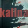 Ivo Kalina
