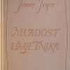 Joyce-Mladost umjetnika