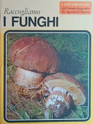 Raccogliamo i funghi