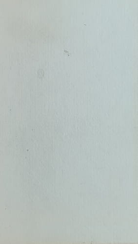 Follett: Skandal s Modiglianijem (1)