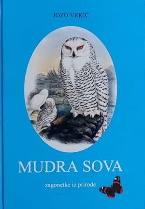 Vrkić-Mudra sova