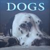 Hall-Dogs