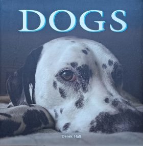Hall-Dogs